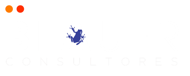 Blauer Consultores